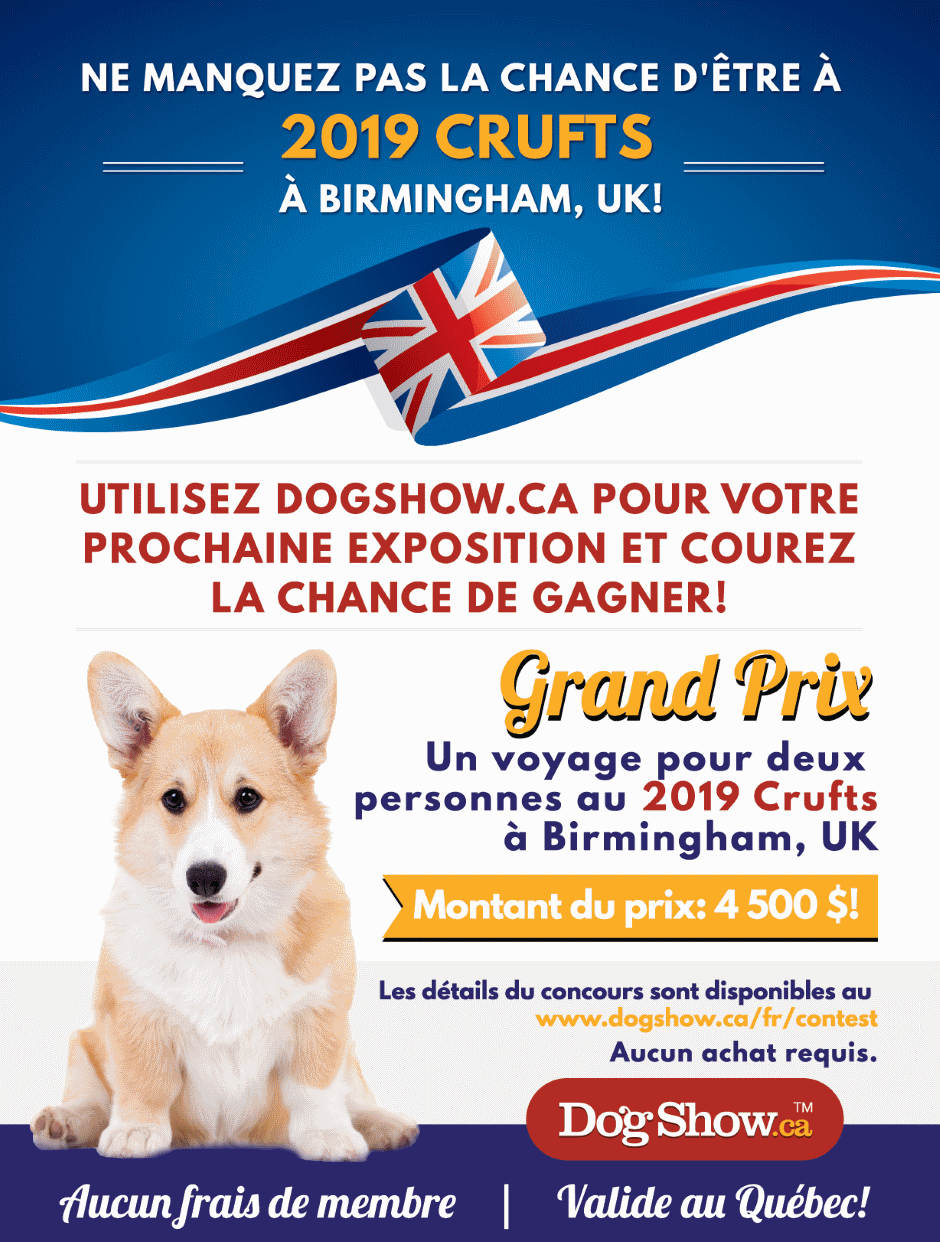 Courez la chance de gagner un voyage pour deux