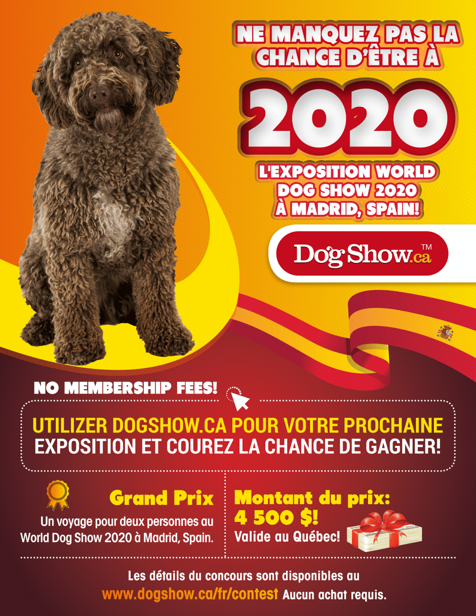 Courez la chance de gagner un voyage pour deux