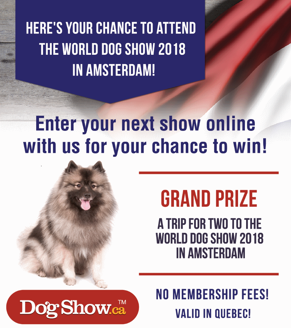 Win a trip for two to the World Dog Show 2018